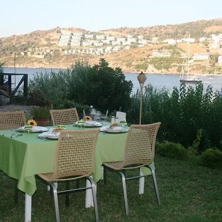 Gliss & 3* Gundogan (Bodrum)
